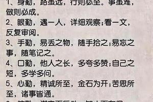  为什么勤奋能帮助球员更快进步：深入探讨与实用策略